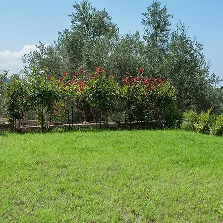 Diamond Giannopoulos Elea * Kyparissia