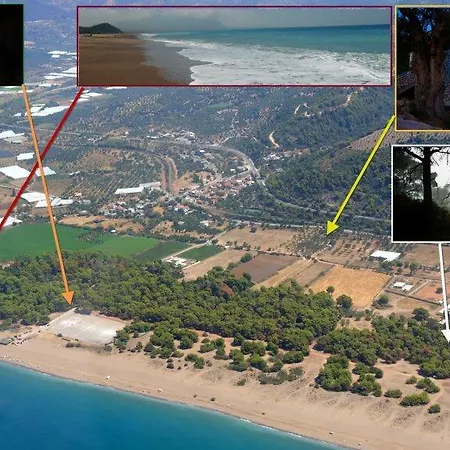 Diamond Giannopoulos Elea *