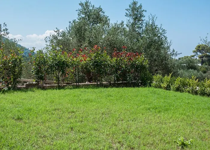 Diamond Giannopoulos Elea * Kyparissia